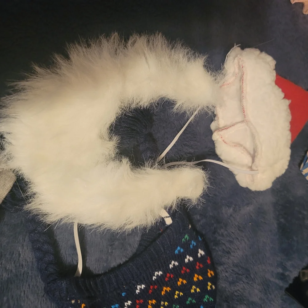 Pet Clothes & Accessories